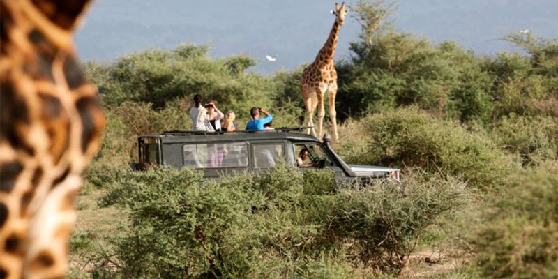 akagera safari