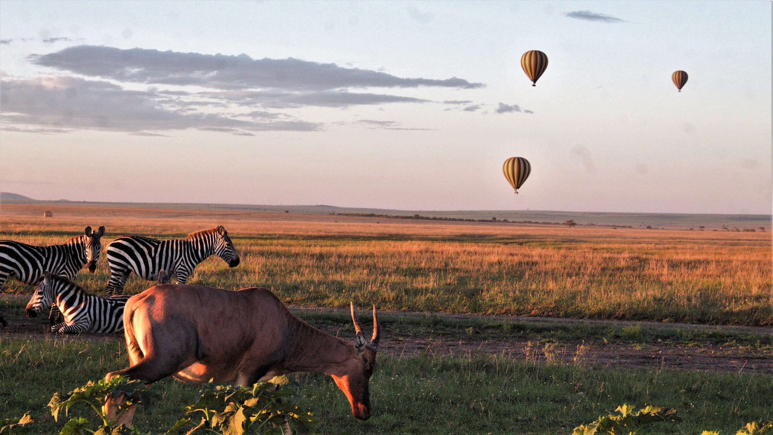 Baloon safaris in Tanzania