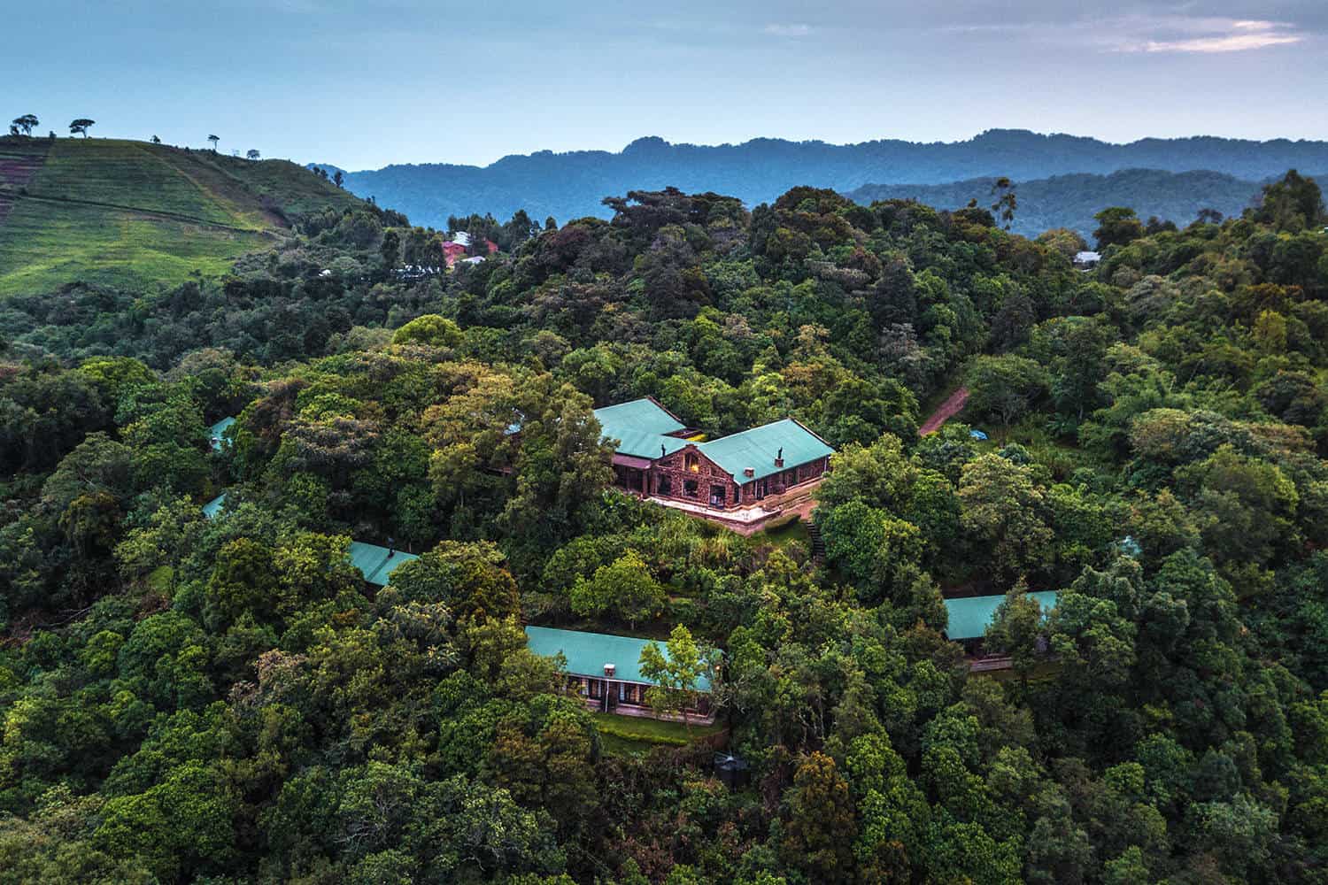 Bwindi safari lodges and camps 
