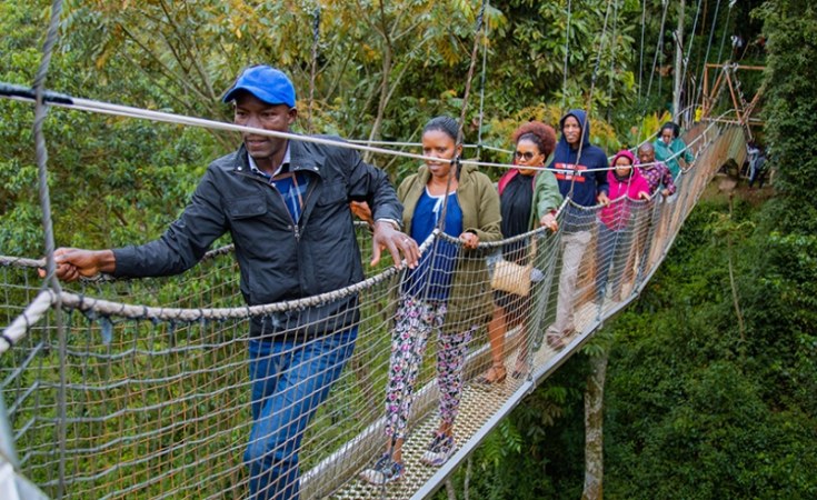 Nyungwe forest canopy walks