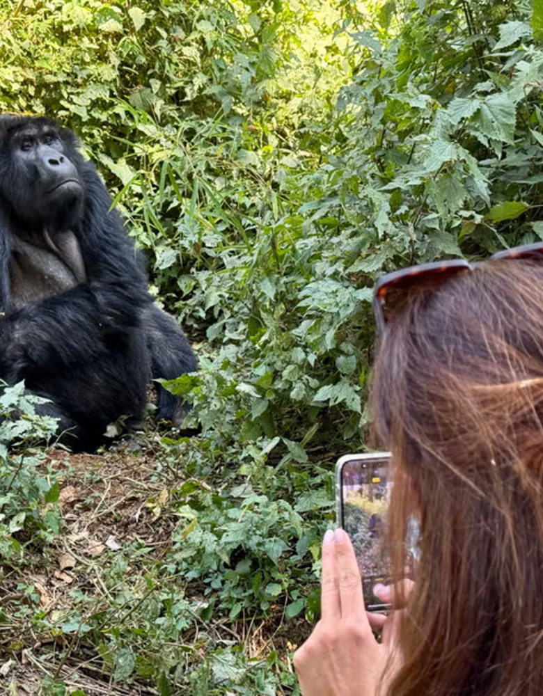 Gorilla safaris Uganda