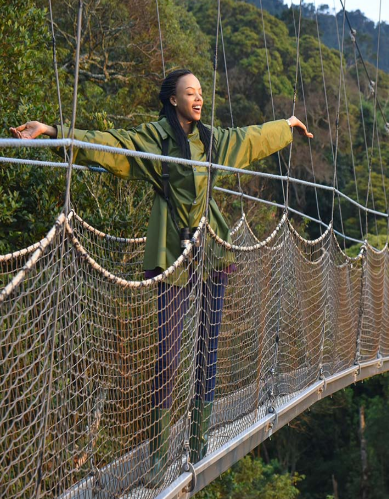 Nyungwe safari