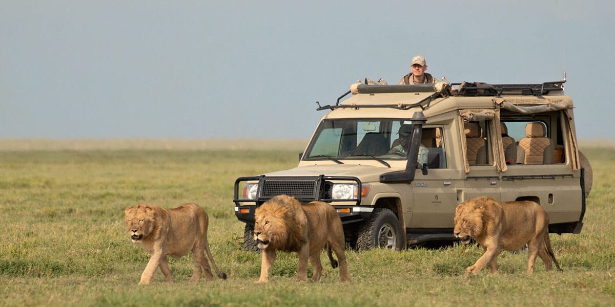 Serengeti
