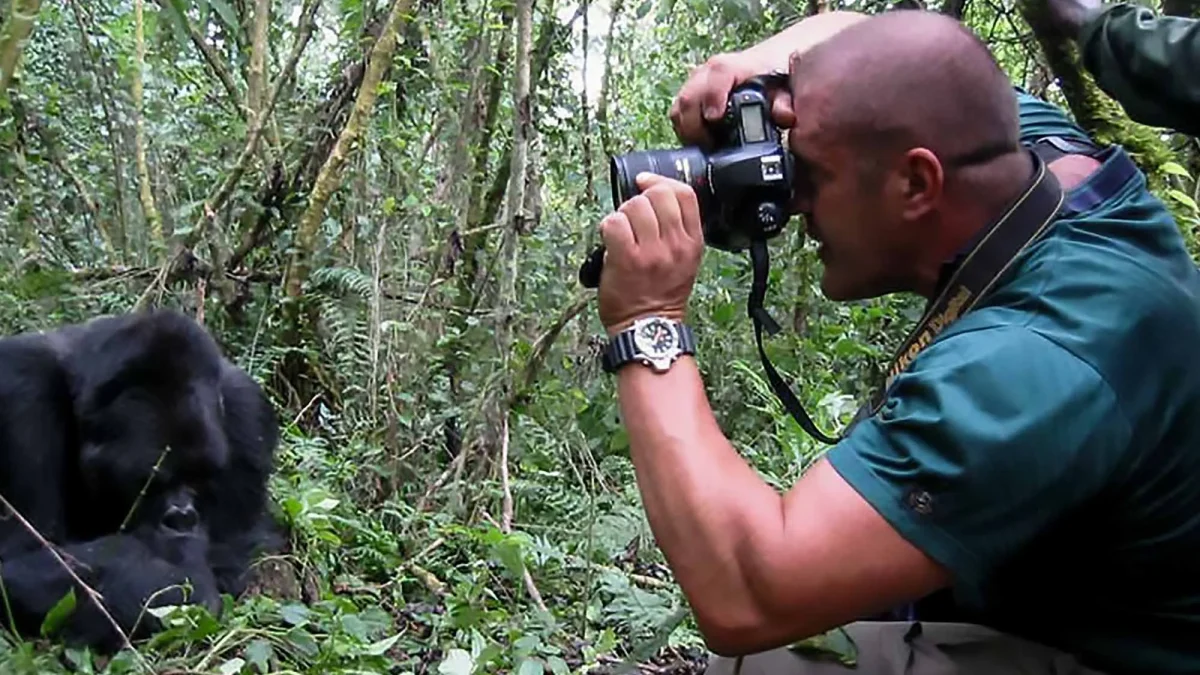 Gorilla safaris by Tarec