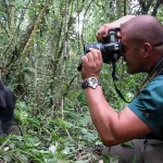Gorilla safaris by Tarec
