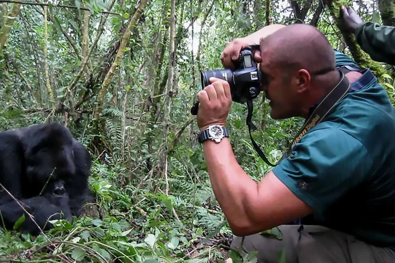 Gorilla safaris by Tarec