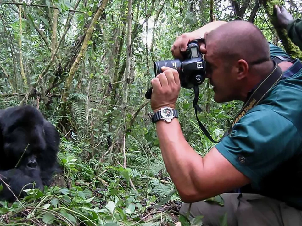 Gorilla safaris by Tarec
