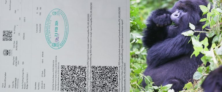Rwanda Gorilla Trekking Permit Prices