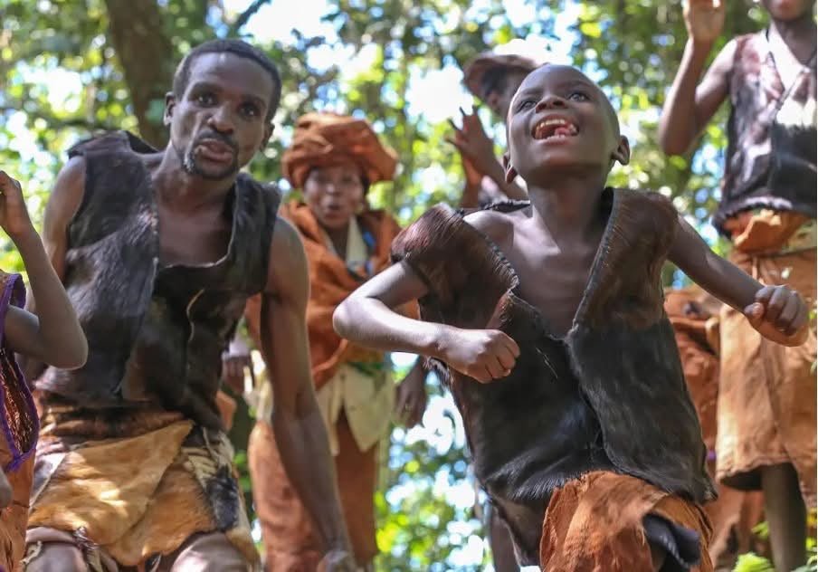 A Day in the Forest: What a Luxury Gorilla Trek Feels Like