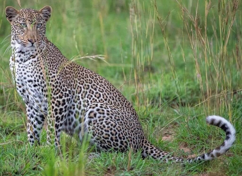 Kidepo Valley National Park