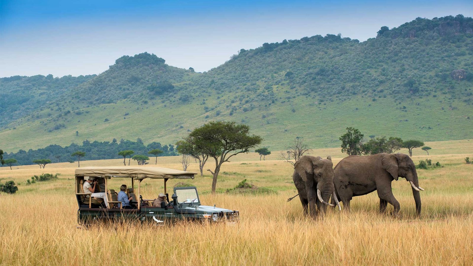 Serengeti Safari
