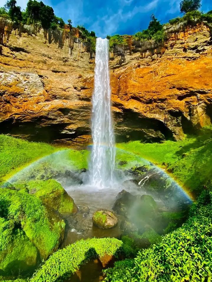 Mount Elgon National Park: Hiking, Wildlife & Adventure in Uganda