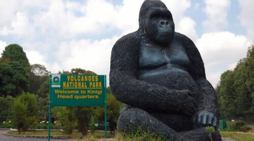 3 Days Rwanda Fly-in Budget Gorilla Trekking Safari
