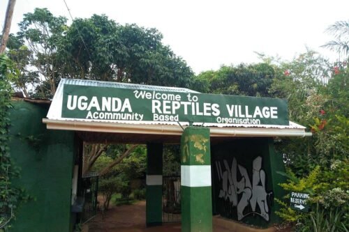 Uganda Reptile Village