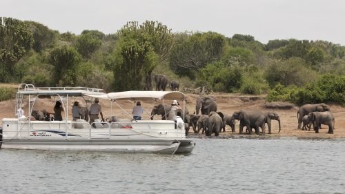 Kazinga Channel boat cruise - Queen Elizabeth National Park Safari