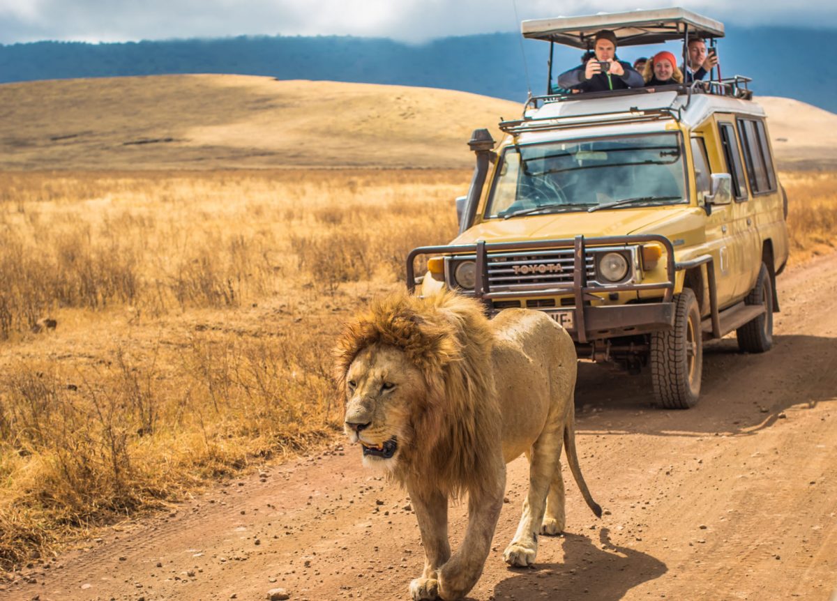 Murchison Falls National Park Safari